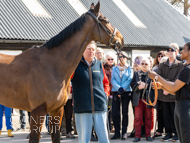 NH220326-25 - Thewoodcorner